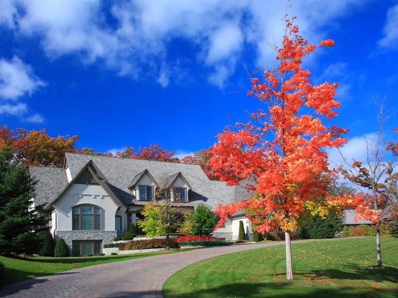 Seasonal home preparation